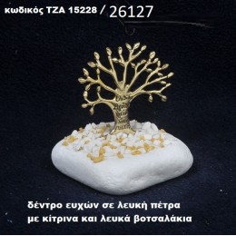 ΔΕΝΤΡΟ ΕΥΧΩΝ ΠΑΝΩ ΣΕ ΒΡΑΧΟ ΘΑΛΑΣΣΗΣ ΜΕ ΛΕΥΚΑ ΚΑΙ ΚΙΤΡΙΝΑ ΒΟΤΣΑΛΑΚΙΑ ΧΟΝΔΡΙΚΗ ΤΙΜΗ ΤΖΑ-15228