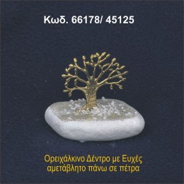 ΔΕΝΤΡΟ ΕΥΧΩΝ ΣΕ ΒΡΑΧΟ ΘΑΛΑΣΣΗΣ 66178/45125